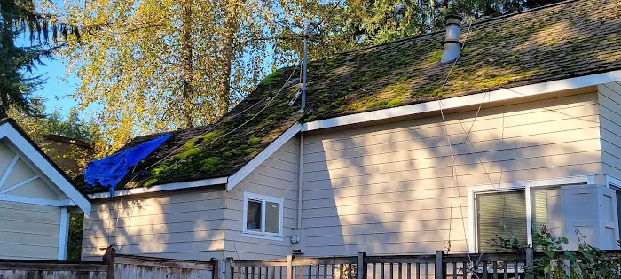 Creative Roof Solutions LLC Picture 7