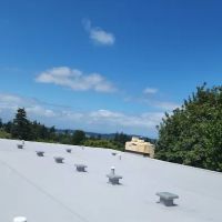 Statesman Services LLC ico