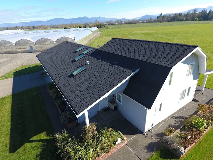 Anytime Roofing, Inc. Picture 7