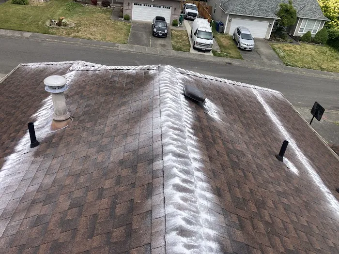 PERFECT VIEW ROOF CLEANING & CARE LLC. Picture 7