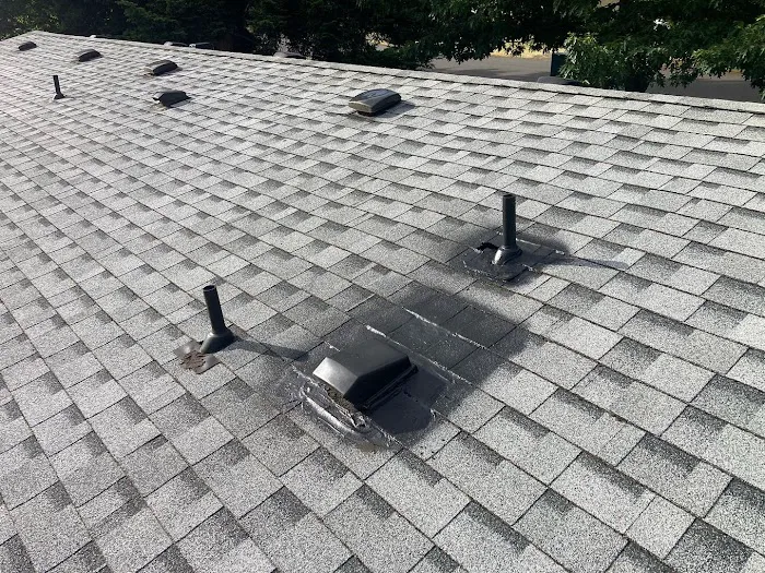 PERFECT VIEW ROOF CLEANING & CARE LLC. Picture 6