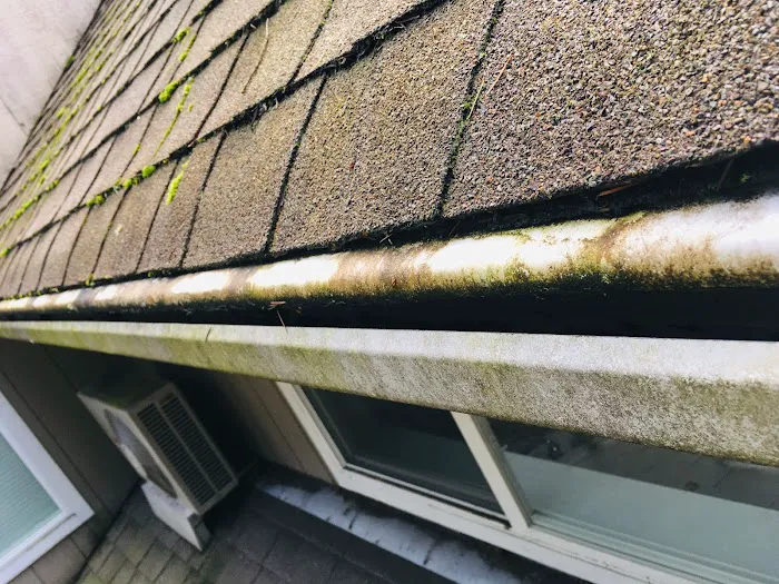 PERFECT VIEW ROOF CLEANING & CARE LLC. Picture 5