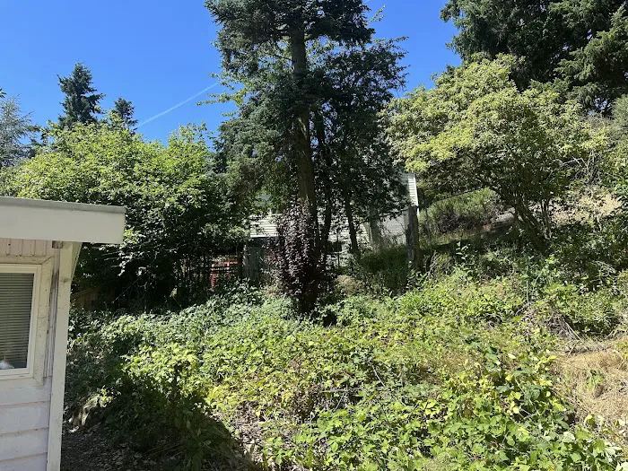 Top Notch Cons Picture 4