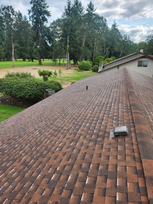 The Roof Medic Picture 1