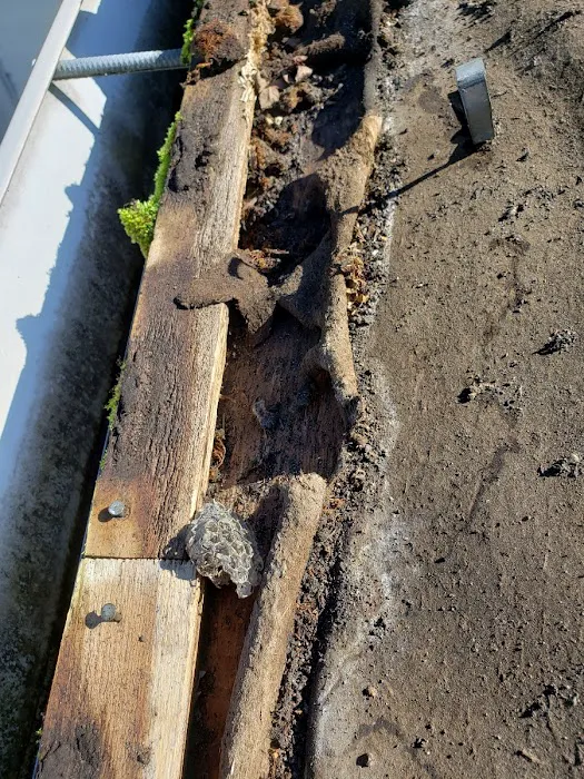 The Roof Medic Picture 10