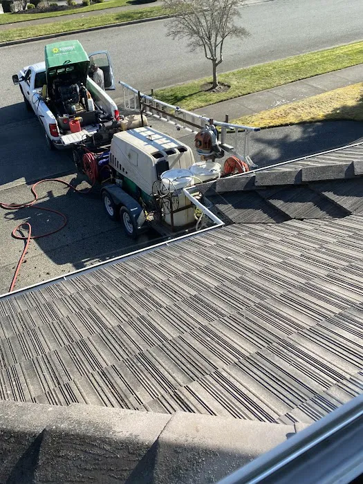 The Roof Medic Picture 2