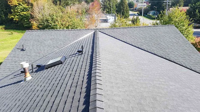 Absolute Roofing Picture 1