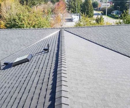 Absolute Roofing