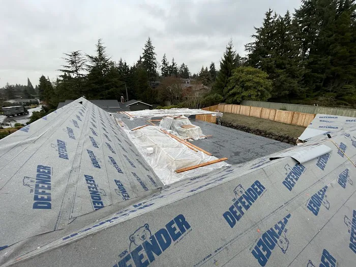 Mr Roofing and Home Services Picture 5