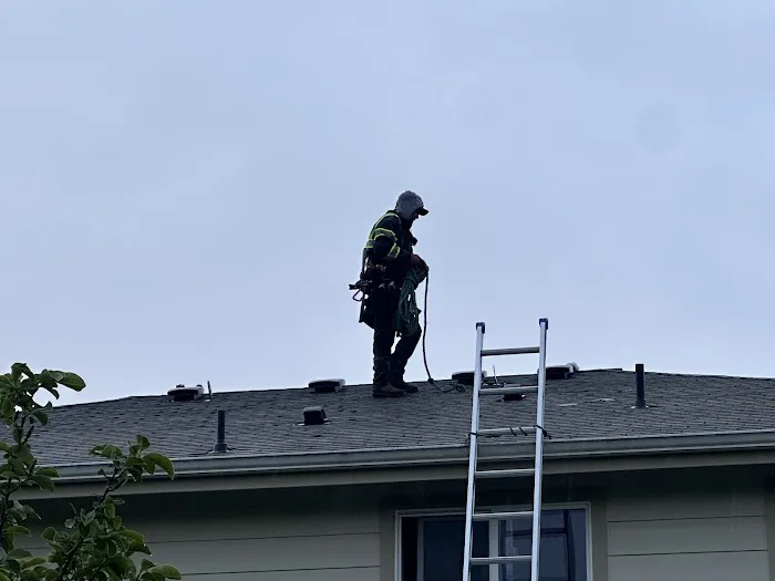 River Roofing LLC Picture 7