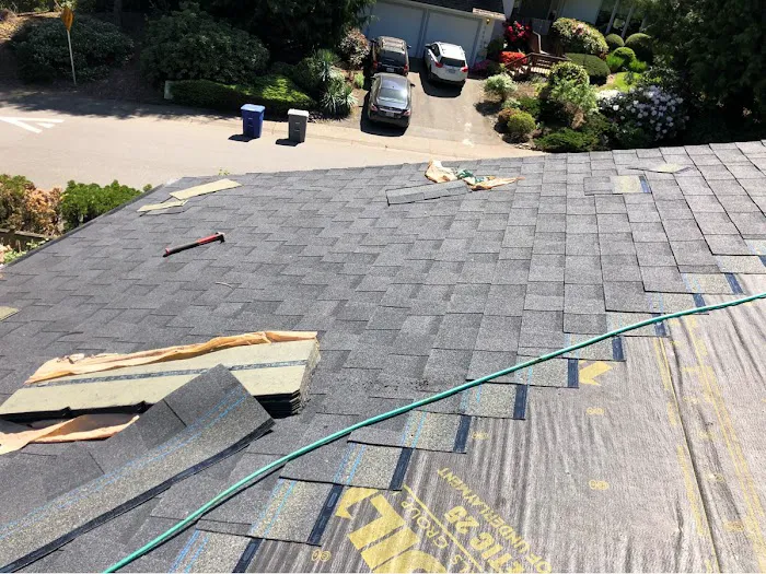 Top Roof Care Picture 1