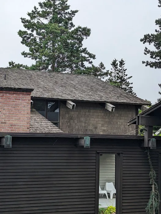 Rainier Roof Restoration Picture 7