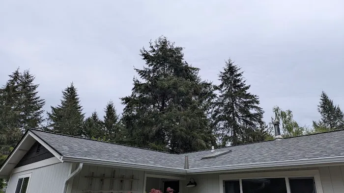 William's Roofing Picture 6