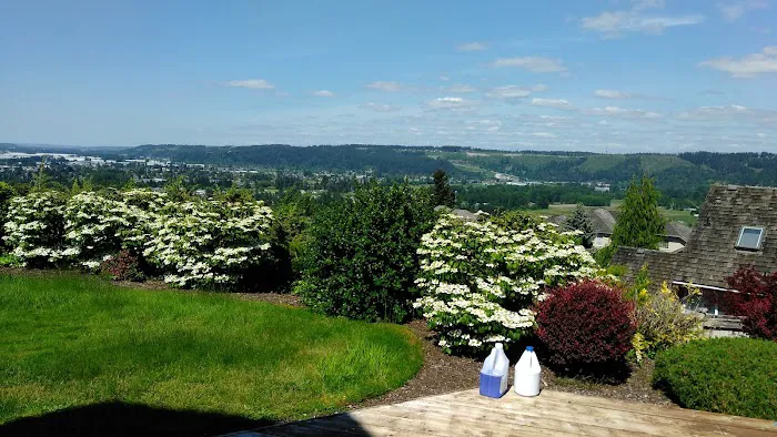 Statewide Roofing Picture 4