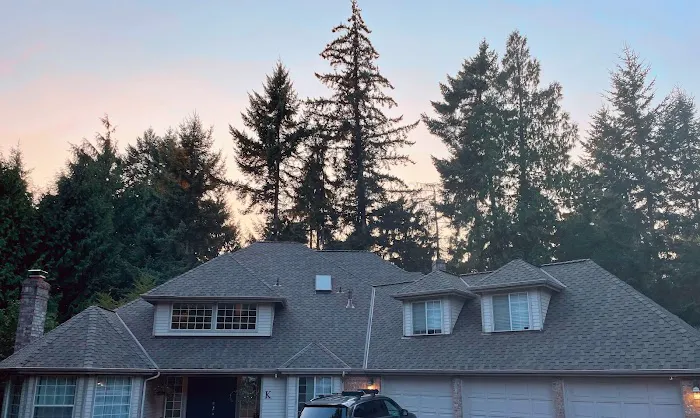 Cougar Construction & Roofing Picture 3