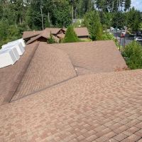 Cougar Construction & Roofing ico