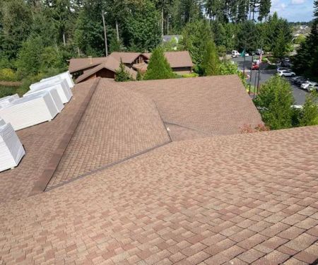 Cougar Construction & Roofing