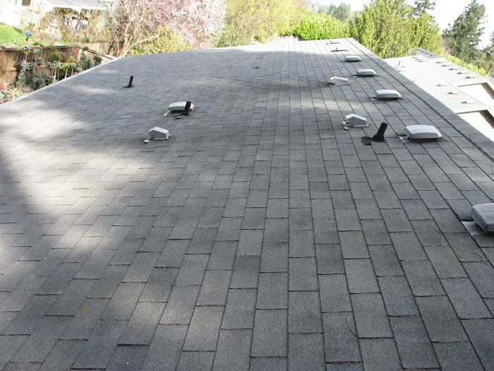 Cougar Construction & Roofing Picture 10