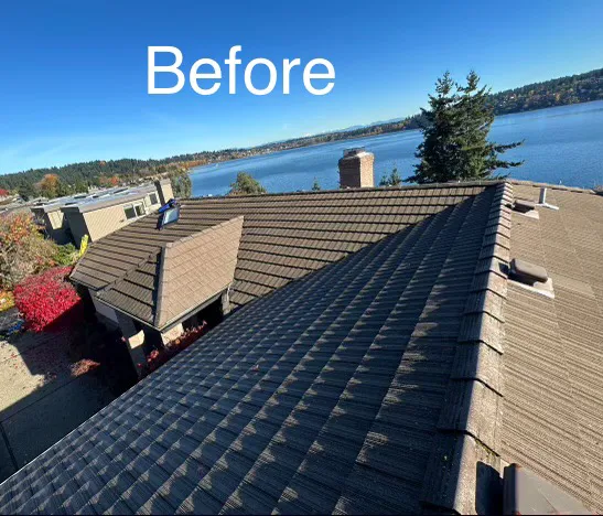 Jorge's Roofing Picture 2