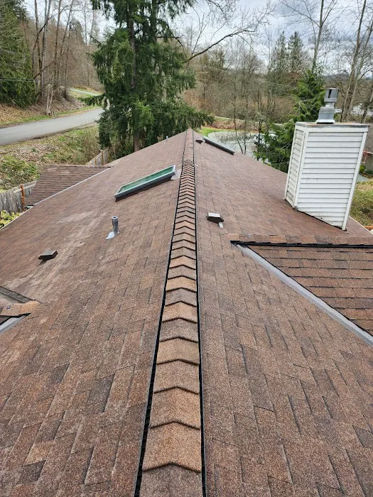 Rosas Roofing LLC Picture 5
