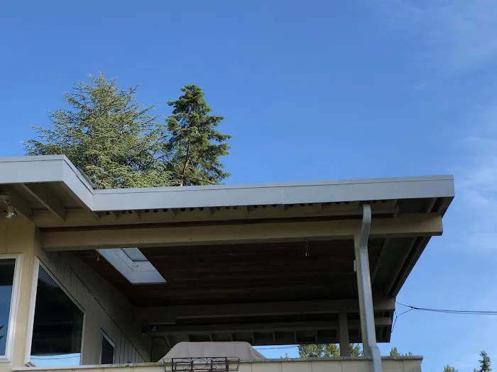 Mcs roofing and construction Picture 8