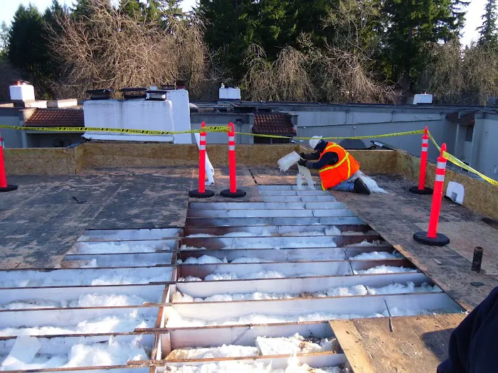 A Cut Above Roofing Picture 6