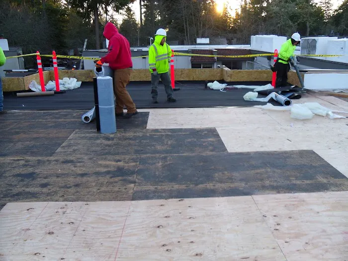 A Cut Above Roofing Picture 3