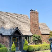 Roof Therapy Inc. ico