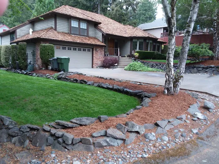 Roof Therapy Inc. Picture 4