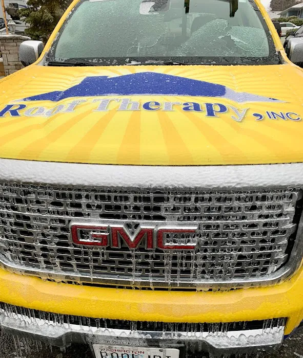 Roof Therapy Inc. Picture 10