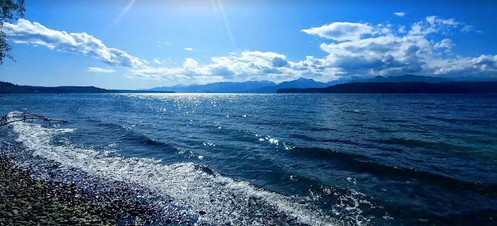 Davids Roof Cleaning LLC Picture 1