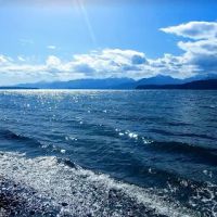 Davids Roof Cleaning LLC ico