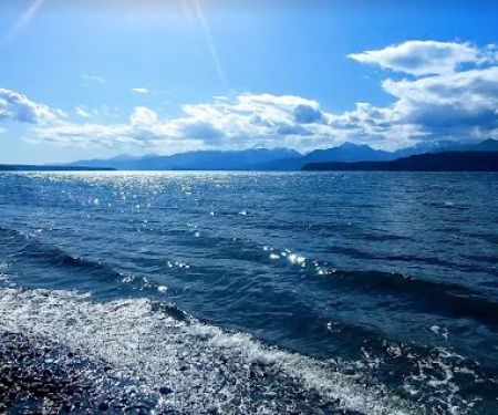 Davids Roof Cleaning LLC