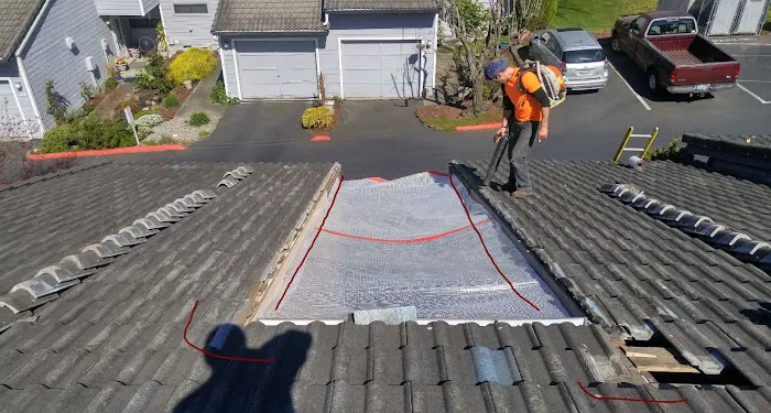 Davids Roof Cleaning LLC Picture 5