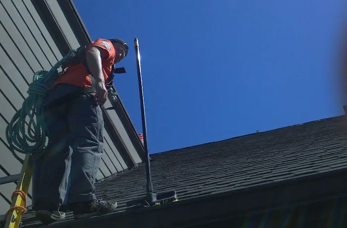 Davids Roof Cleaning LLC Picture 3