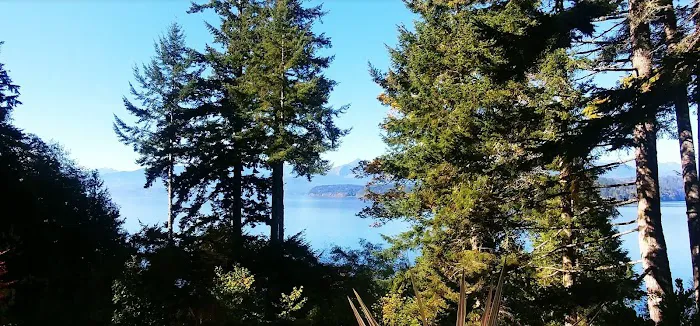 Davids Roof Cleaning LLC Picture 2