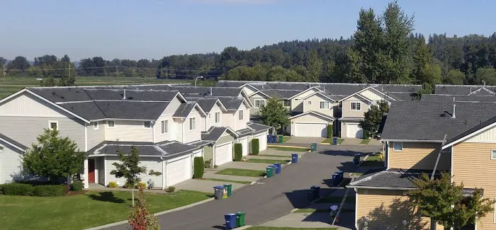 Davids Roof Cleaning LLC Picture 10