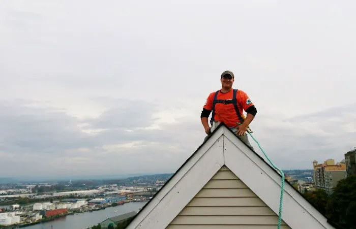 Davids Roof Cleaning LLC Picture 9