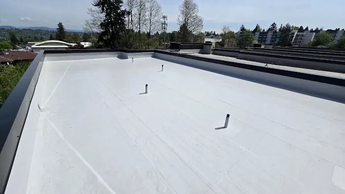 Roofing Solutions NW Picture 4