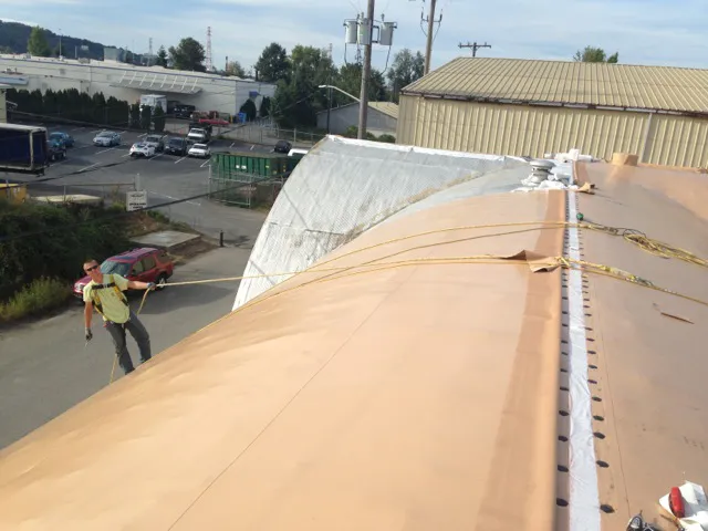 Roofing Solutions NW Picture 10