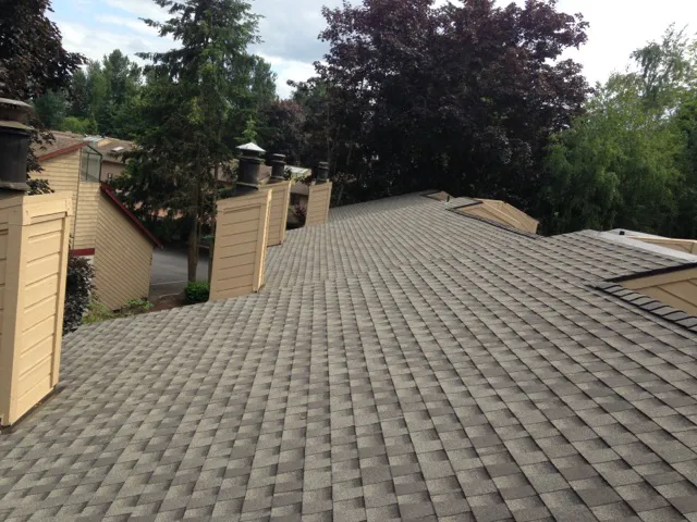 Roofing Solutions NW Picture 7