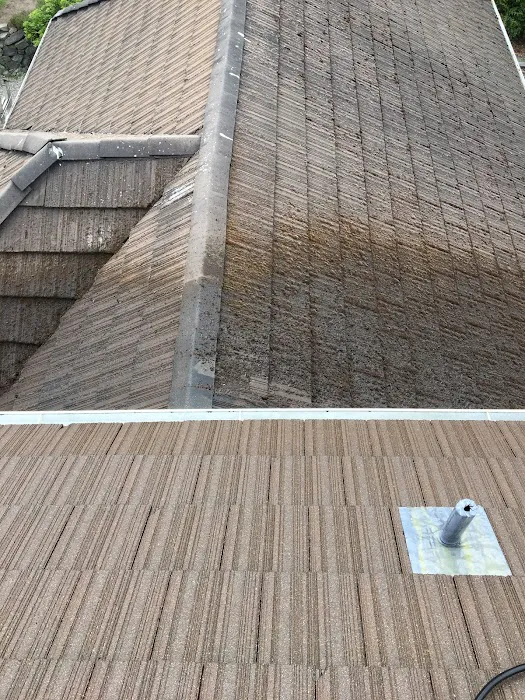 Northpeak Roof Cleaning LLC Picture 8