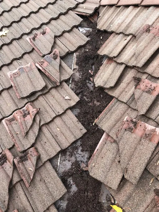 Northpeak Roof Cleaning LLC Picture 5