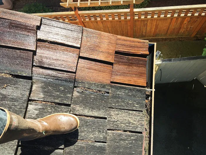 Northpeak Roof Cleaning LLC Picture 6