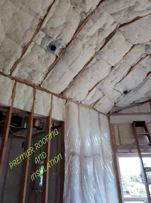 Premier roofing and insulation llc Picture 2