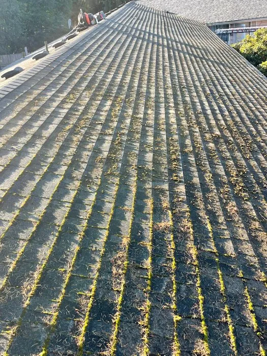 Premier roofing and insulation llc Picture 4