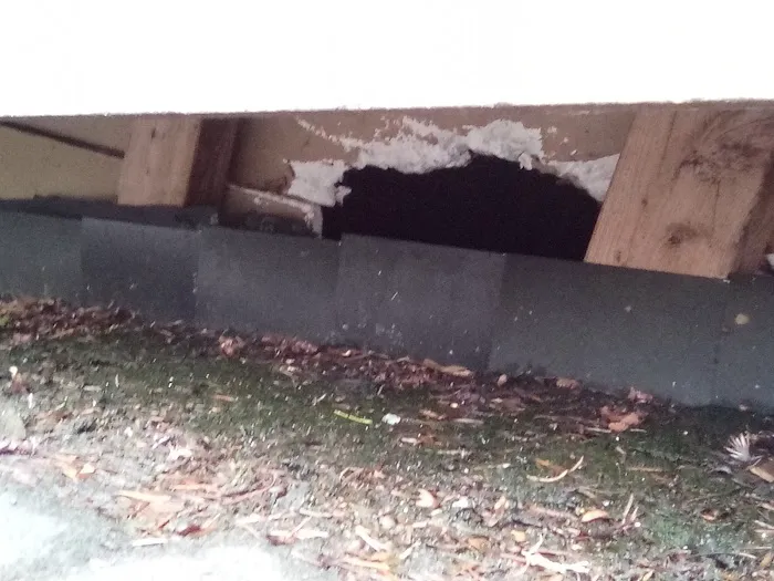 TODD ROOFING & CONSTRUCTION Picture 8