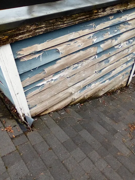 TODD ROOFING & CONSTRUCTION Picture 3