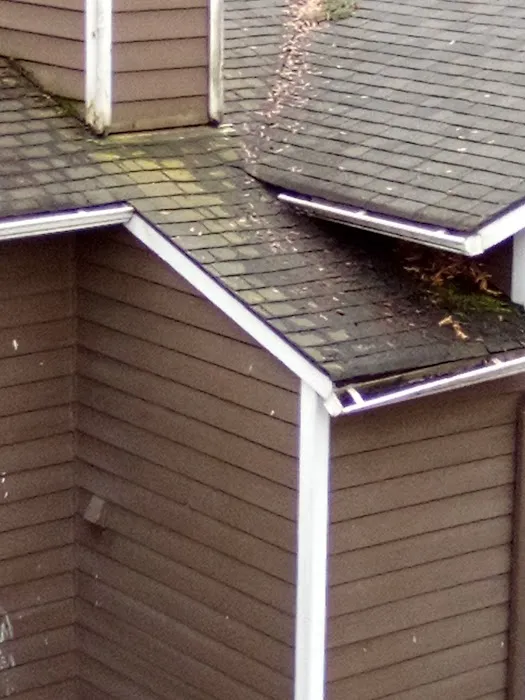 TODD ROOFING & CONSTRUCTION Picture 4