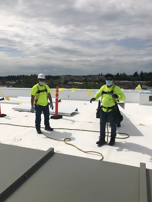 Tacoma Roofing & Waterproofing Picture 4